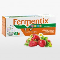 ФЕРМЕНТИКС ДЖУНИЪР ФЛ.10 МЛ. Х 12 БР.